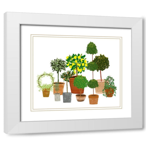 Topiaries White Modern Wood Framed Art Print with Double Matting by Bucheli, Jen