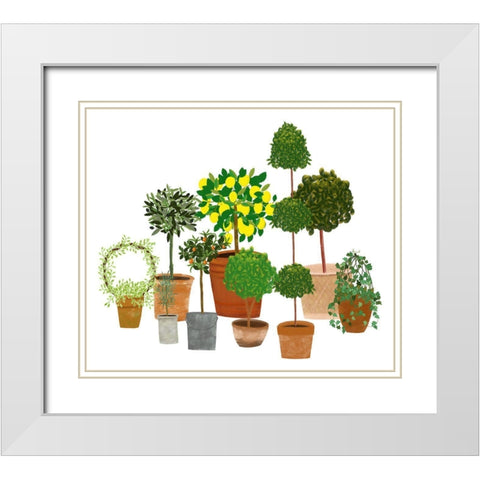 Topiaries White Modern Wood Framed Art Print with Double Matting by Bucheli, Jen