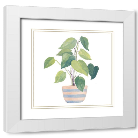 Mother-In-Law Plant In Striped Pot White Modern Wood Framed Art Print with Double Matting by Loreth, Lanie