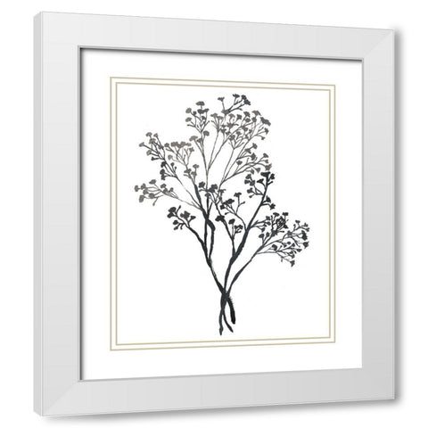 Babys Breath White Modern Wood Framed Art Print with Double Matting by Medley, Elizabeth