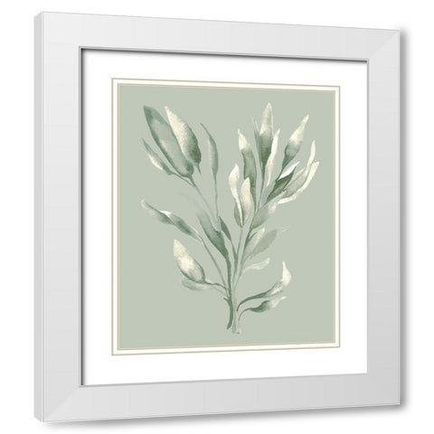 Tonal Green Ferns II White Modern Wood Framed Art Print with Double Matting by Medley, Elizabeth