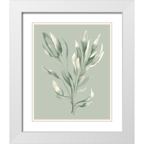 Tonal Green Ferns II White Modern Wood Framed Art Print with Double Matting by Medley, Elizabeth