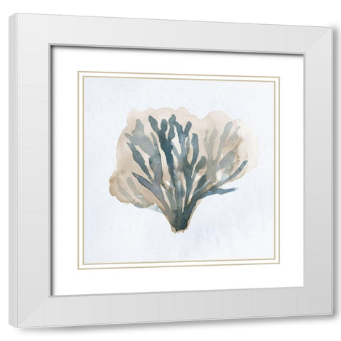 Atlantic Coral I White Modern Wood Framed Art Print with Double Matting by Price, Lucille
