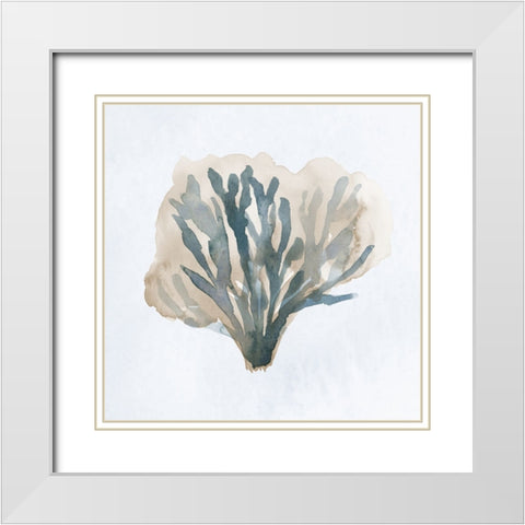Atlantic Coral I White Modern Wood Framed Art Print with Double Matting by Price, Lucille