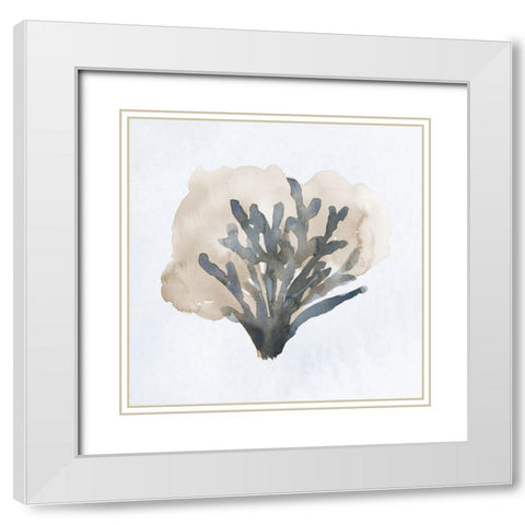Atlantic Coral II White Modern Wood Framed Art Print with Double Matting by Price, Lucille