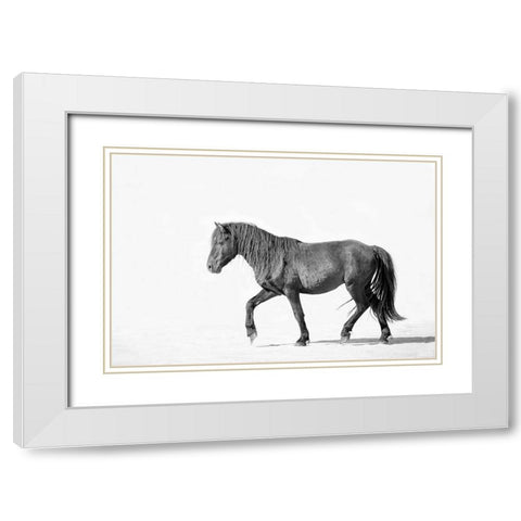 Black Horse White Modern Wood Framed Art Print with Double Matting by Walters, Jan