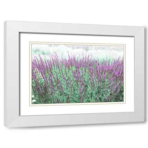 Lavender Garden White Modern Wood Framed Art Print with Double Matting by Meneely, Dan