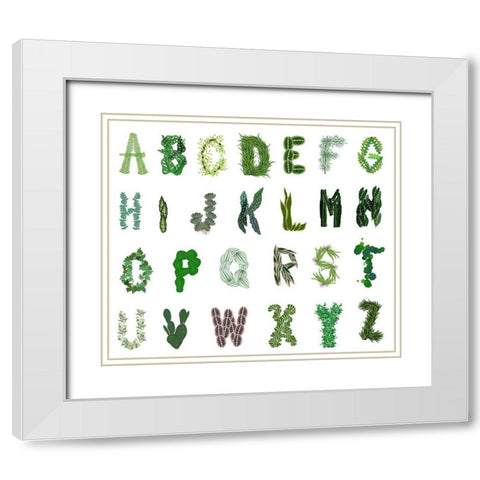 Plant Alphabet White Modern Wood Framed Art Print with Double Matting by Bucheli, Jen