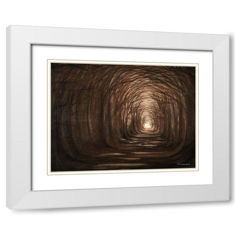 Sundown In A Forest White Modern Wood Framed Art Print with Double Matting by Nawrocke, Bruce