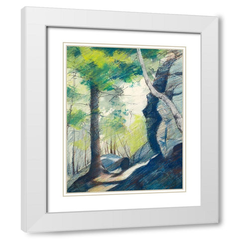 Sunrise In The Woods White Modern Wood Framed Art Print with Double Matting by Nawrocke, Bruce
