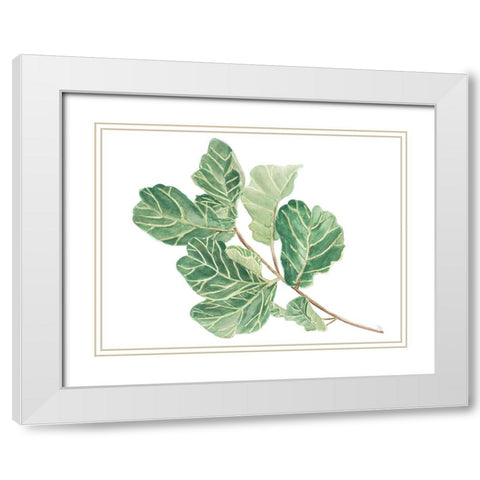 Fiddle Fig Leaf II White Modern Wood Framed Art Print with Double Matting by Pinto, Patricia