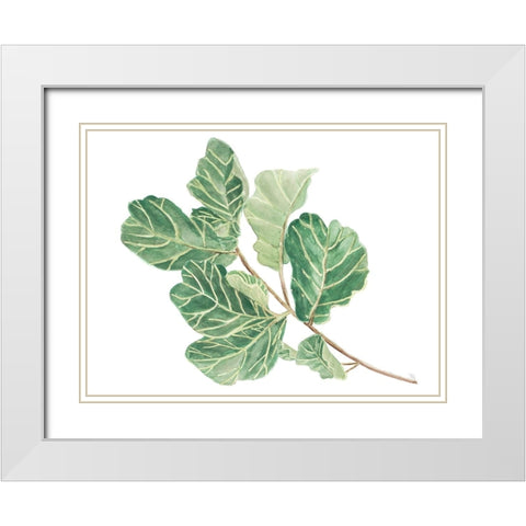 Fiddle Fig Leaf II White Modern Wood Framed Art Print with Double Matting by Pinto, Patricia