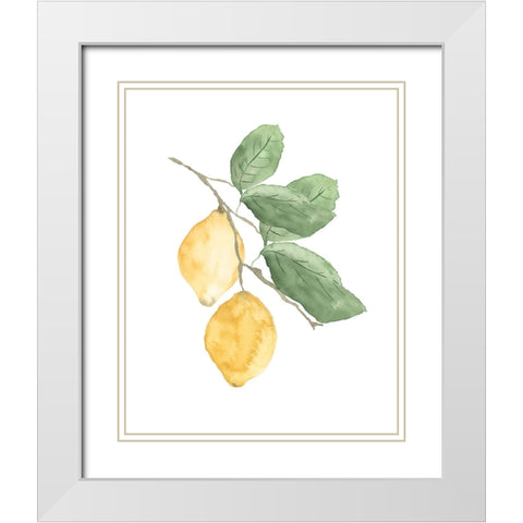 Stem Of Lemons White Modern Wood Framed Art Print with Double Matting by Price, Lucille