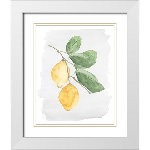 Fresh Lemons White Modern Wood Framed Art Print with Double Matting by Price, Lucille