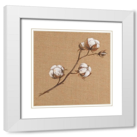 Cotton Branch I White Modern Wood Framed Art Print with Double Matting by Pinto, Patricia