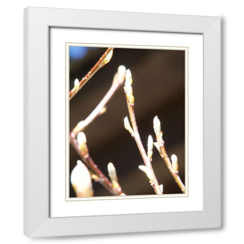 Into Nature II White Modern Wood Framed Art Print with Double Matting by Hyler, JB