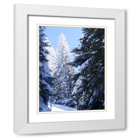 Frosted Tree White Modern Wood Framed Art Print with Double Matting by Hyler, JB