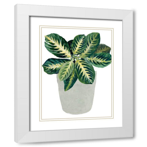 Prayer Plant II White Modern Wood Framed Art Print with Double Matting by Loreth, Lanie