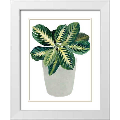 Prayer Plant II White Modern Wood Framed Art Print with Double Matting by Loreth, Lanie