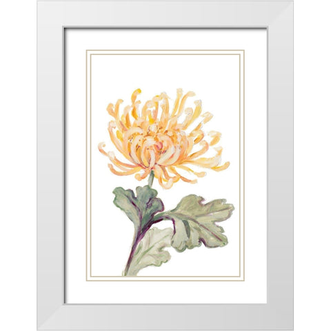 Yellow Spider Mum White Modern Wood Framed Art Print with Double Matting by Loreth, Lanie