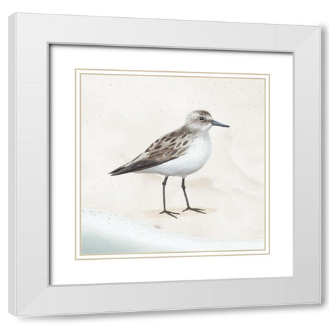 Sandpiper on the Beach I White Modern Wood Framed Art Print with Double Matting by Sheppard, Lucca