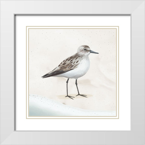 Sandpiper on the Beach I White Modern Wood Framed Art Print with Double Matting by Sheppard, Lucca