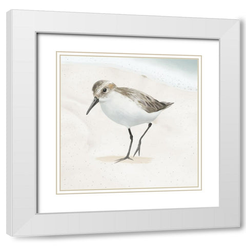 Sandpiper on the Beach II White Modern Wood Framed Art Print with Double Matting by Sheppard, Lucca