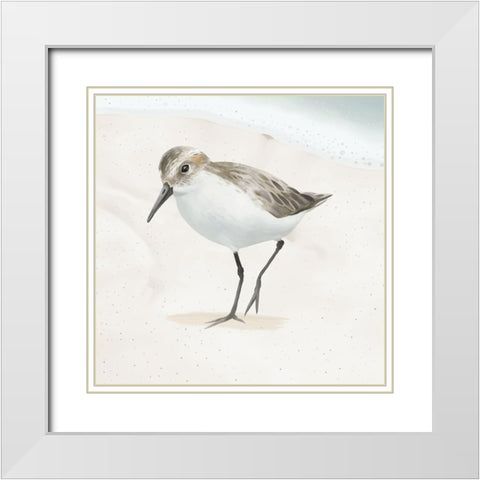 Sandpiper on the Beach II White Modern Wood Framed Art Print with Double Matting by Sheppard, Lucca