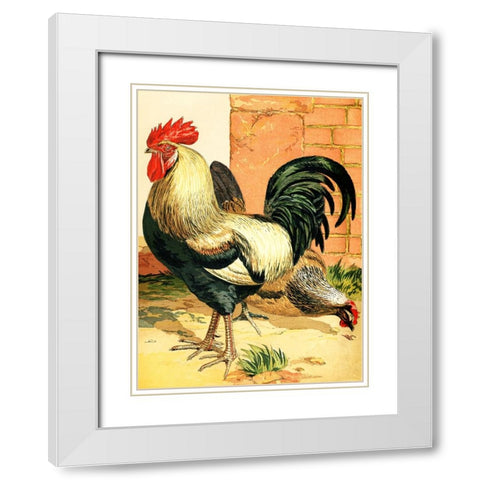Rooster White Modern Wood Framed Art Print with Double Matting by Piddix