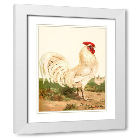 Hen White Modern Wood Framed Art Print with Double Matting by Piddix