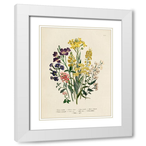 Vintage Flowers I White Modern Wood Framed Art Print with Double Matting by Piddix