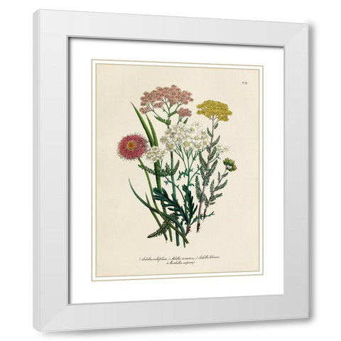 Vintage Flowers II White Modern Wood Framed Art Print with Double Matting by Piddix