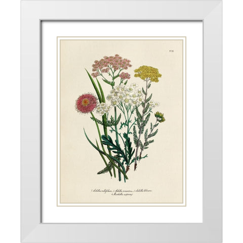 Vintage Flowers II White Modern Wood Framed Art Print with Double Matting by Piddix