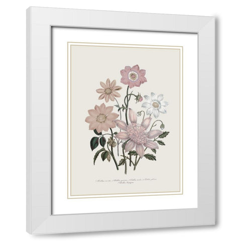 Anemone Coronaria II White Modern Wood Framed Art Print with Double Matting by Piddix
