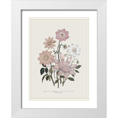 Anemone Coronaria II White Modern Wood Framed Art Print with Double Matting by Piddix
