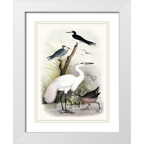 Little Egret and Friends White Modern Wood Framed Art Print with Double Matting by Piddix