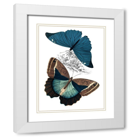 Butterfly Study II White Modern Wood Framed Art Print with Double Matting by Piddix