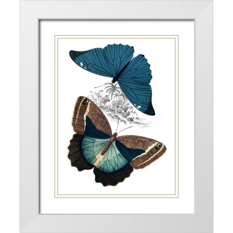 Butterfly Study II White Modern Wood Framed Art Print with Double Matting by Piddix