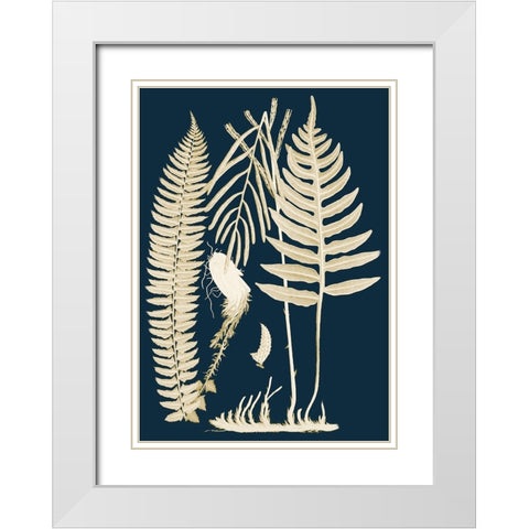 Ferns I White Modern Wood Framed Art Print with Double Matting by Piddix