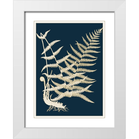Ferns II White Modern Wood Framed Art Print with Double Matting by Piddix