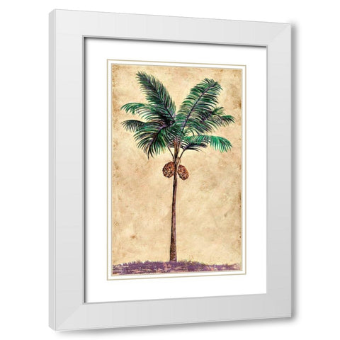 Coconut Tribal Palm II White Modern Wood Framed Art Print with Double Matting by Pattinian, Merri