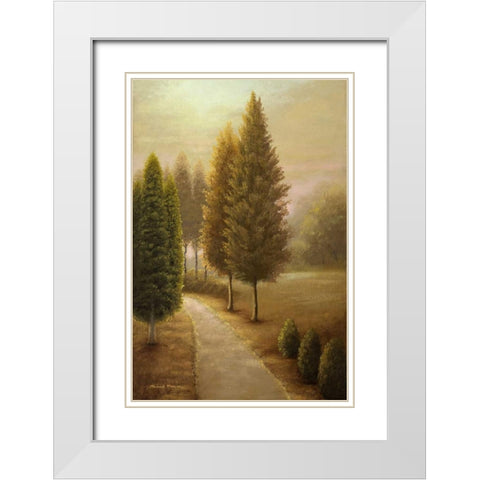 Auburn I White Modern Wood Framed Art Print with Double Matting by Marcon, Michael
