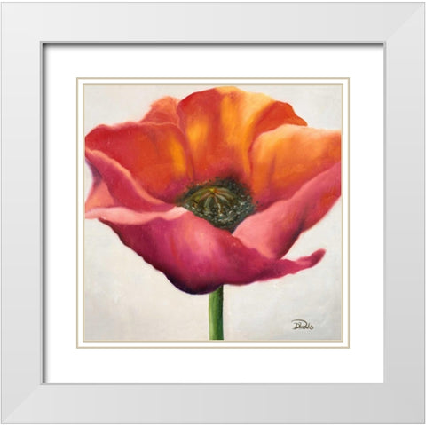 Poppy Flower I White Modern Wood Framed Art Print with Double Matting by Pinto, Patricia