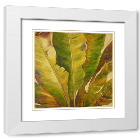 Uraba II White Modern Wood Framed Art Print with Double Matting by Pinto, Patricia