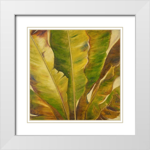 Uraba II White Modern Wood Framed Art Print with Double Matting by Pinto, Patricia