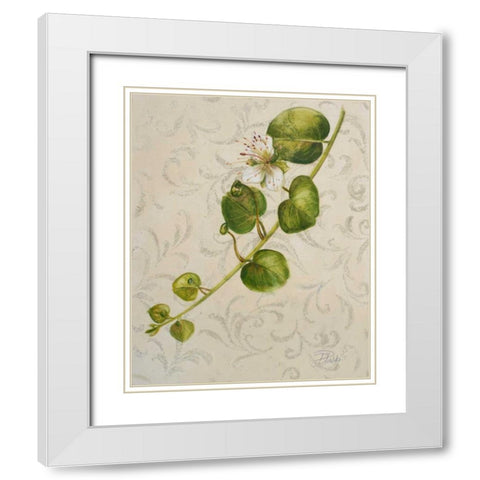 Botanica I White Modern Wood Framed Art Print with Double Matting by Pinto, Patricia