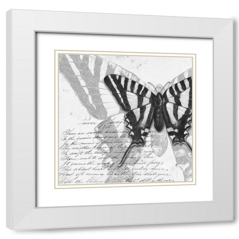 Butterflies Studies II White Modern Wood Framed Art Print with Double Matting by Pinto, Patricia