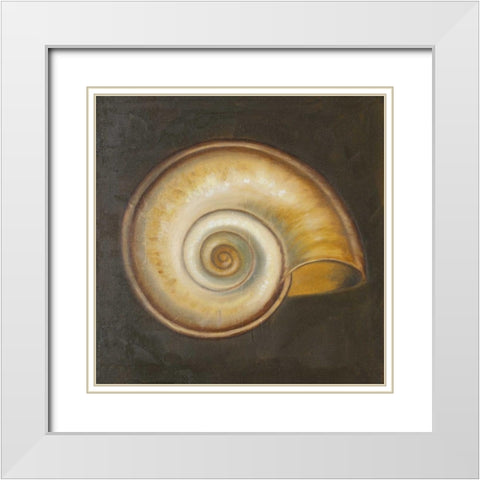 Seashell I White Modern Wood Framed Art Print with Double Matting by Pinto, Patricia