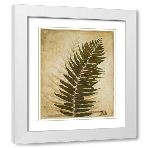 Ferns II White Modern Wood Framed Art Print with Double Matting by Pinto, Patricia