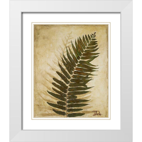 Ferns II White Modern Wood Framed Art Print with Double Matting by Pinto, Patricia